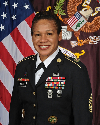 Command Sgt. Maj. Donna Brock, Army’s Longest Serving Enlisted Female ...