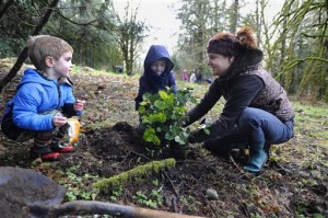 Cynthia Wilkerson along with her sons Remy Novack, 4, and his brother Leopold,7, volunteer their Martin Luther King Jr. holiday planting native trees and shrubs at the Allison Spring Reserve Monday, Jan.18, 2016, near Olympia, Wash. One of numerous service events offered  throughout the region on Monday the project was hosted by the Capitol Land Trust organization and City of Olympia. (Steve Bloom/The Olympian via AP)