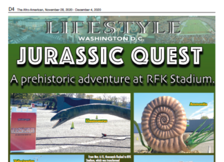 Sophisticated Settings — Lifestyle — November 27, 2020